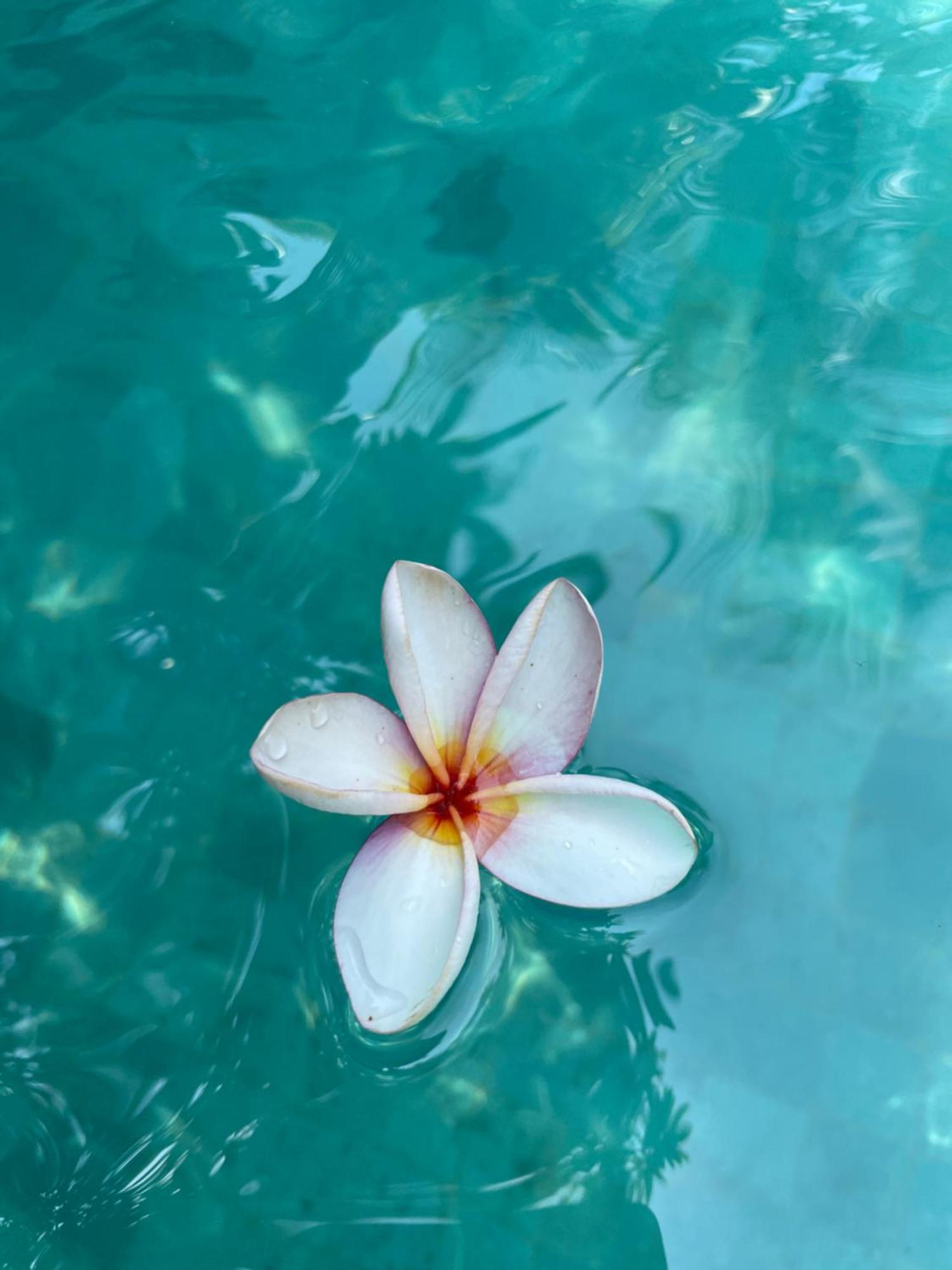 Umakayu Joglo Villa Canggu - Boutique Hotel מראה חיצוני תמונה