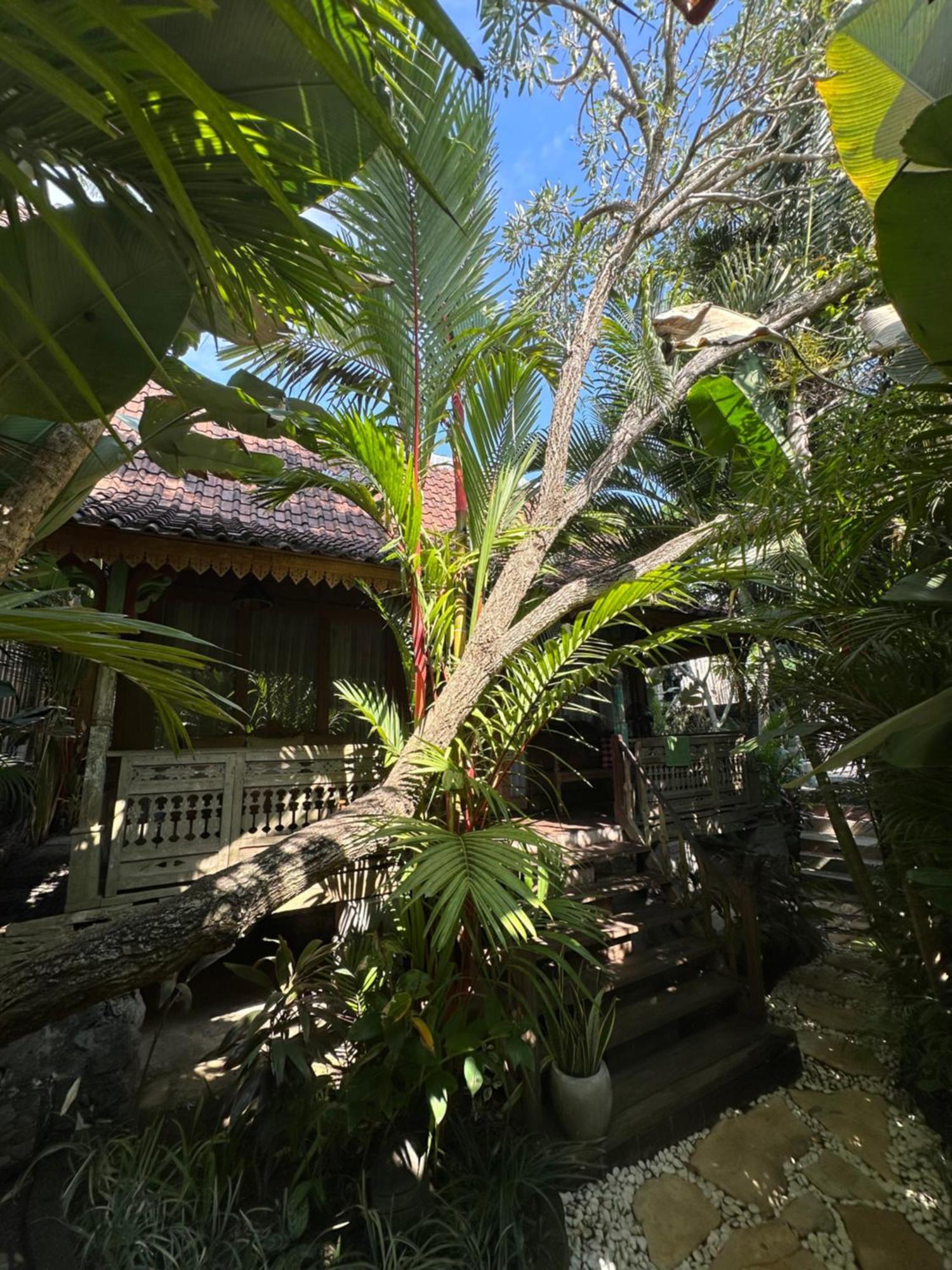Umakayu Joglo Villa Canggu - Boutique Hotel מראה חיצוני תמונה