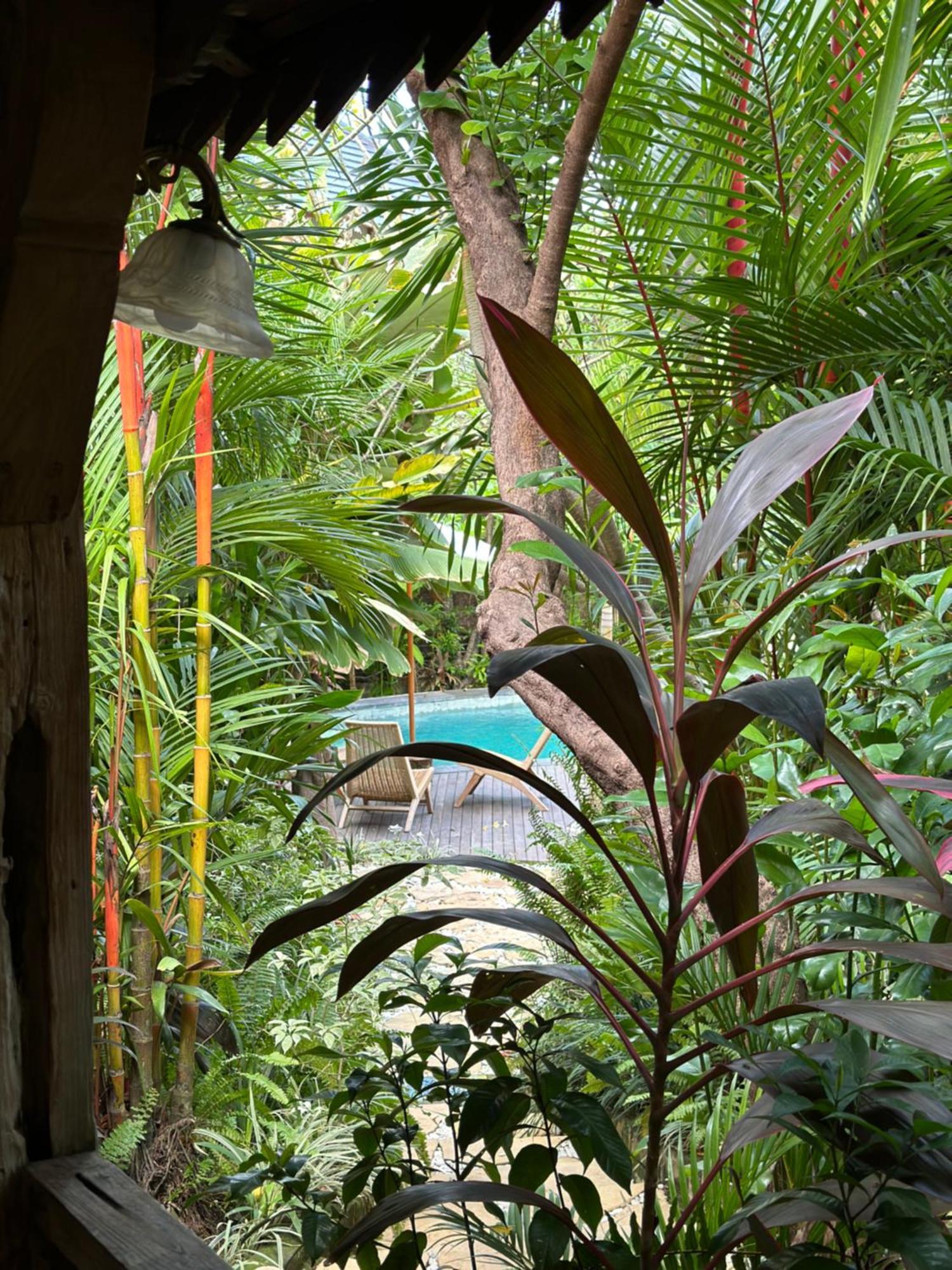 Umakayu Joglo Villa Canggu - Boutique Hotel מראה חיצוני תמונה